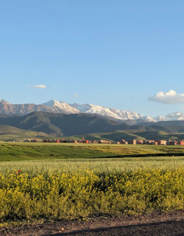 The snow-capped High Atlas above the fields near Marrakech